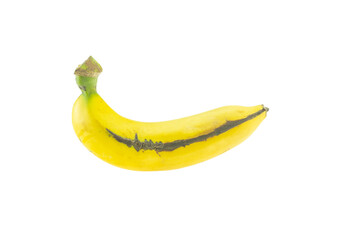 Cavendish Banana