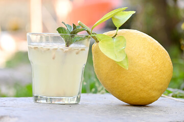 closeup the yellow grapefruit with juice and mint over out of focus green brown background.