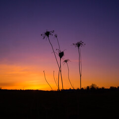 A beautiful spring sunrise with colorful skies. Seasonal scenery of Northern Europe.