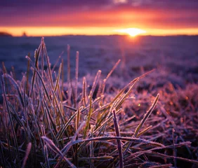 Gordijnen A beautiful, colorful spring sunrise over the field. Seasonal scenery of Northern Europe. © dachux21