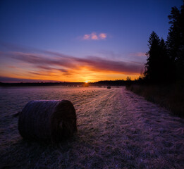 A beautiful, colorful spring sunrise over the field. Seasonal scenery of Northern Europe.