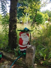 Mikołaj w ogrodzie