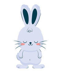 cute blue bunny