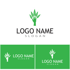 Leaf icon Vector Illustration design Logo template