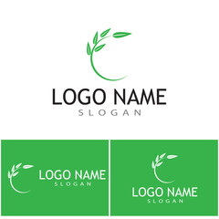 Leaf icon Vector Illustration design Logo template