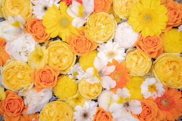 colorful background