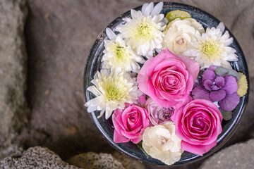 bouquet of pink roses