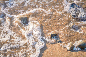 starfish on the sand