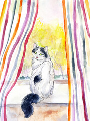 A white cat with black spots sits on the windowsill. Cat painted in watercolor. The cat sits on a window with striped curtains.
