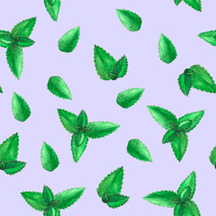 Hand drawn watercolor endless pattern with lot of peppermint leaves on purple background. Herbal aquarelle element for printing fabric, wrapping paper, cards. Illustration