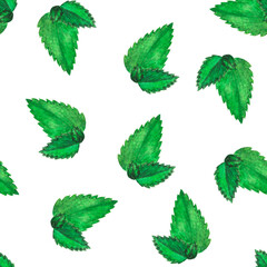 Hand drawn watercolor seamless   pattern with lot of green isolated peppermint leaves as background on white. Herbal aquarelle element for printing fabric, wrapping paper, cards. Illustration