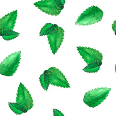 Hand drawn watercolor endless pattern with lot of green isolated peppermint leaves as background on white. Herbal aquarelle element for printing fabric, wrapping paper, cards © Sunny_Smile
