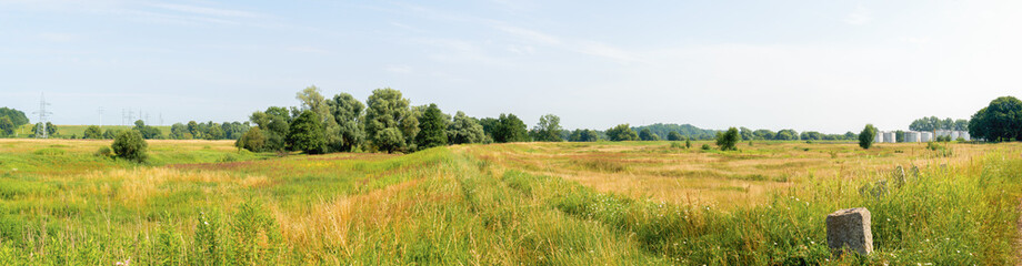 Obraz premium endless meadows of green grass on a sunny day