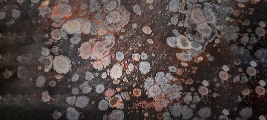 elegant stone texture background