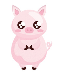 Obraz na płótnie Canvas cute pig design