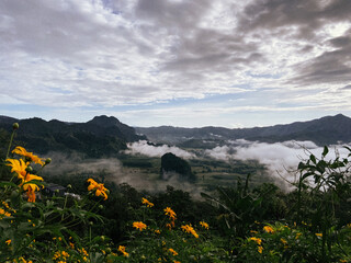 Pha Chang Noi with fog at Phu Langka Forest Park , Phayao, Thailand. Famous mountain in Thailand.