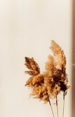 dried flowers for home decor