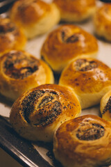 Freshly baked golden brown poppy seed rolls on a baking tray