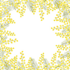 Watercolor hand drawn banner with spring tender flowers frame - yellow mimosa on the white background. For textile, wallpaper, wrapping paper, march, easter, card, linen.