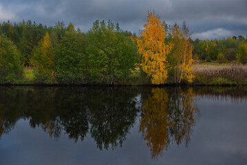 Naklejka na ściany i meble Russia. Republic of Karelia. Autumn colors on the shore of Lake Ladoga near the city of Sortavala.