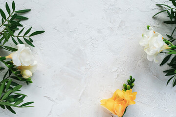 White and yellow freesia flowers on concrete background with copy space. Festive background. Top view, flat lay
