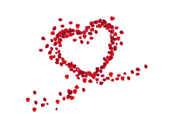 Heart Shape with Rose Petals. Illustration