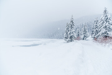 Fototapeta premium Lake Louise in Banff Park