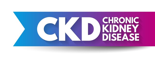 CKD Chronic Kidney Disease - gradual loss of kidney function over a period of months to years, acronym text concept background