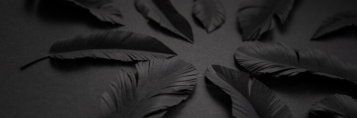 Details of black feathers cut out of paper, abstract dark background