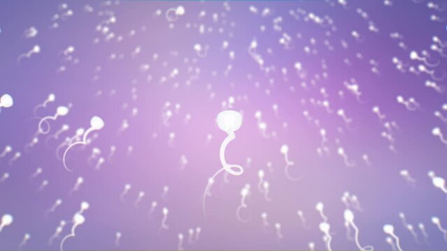 Animation of male reproductive cells (Spermatozoa) moving on their way to the egg cell (Ovum). Fertility treatment with donor sperm concept