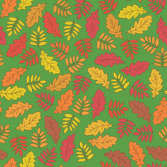 Autumn vector seamless pattern - fallen leaves on a green background.