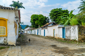 A dog in a street with colonial architecture in Paraty, Brazil