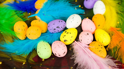 Multicolored easter eggs with feathers. Colourful small eggs with spots. Concept of Happy Easter.