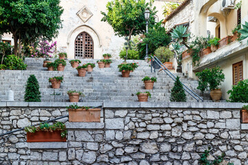 Set of stone steps with decorative potted plants