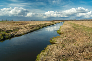 A small river that flows through the meadows, Czulczyce, Poland