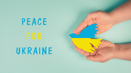 Hands holding dove in the colors of the ukrainian flag, war with Russia, peace for Ukraine