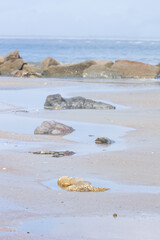 Rocks on the beach, ocean and sky background