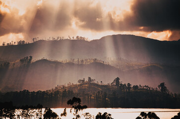 Panorama of the tea plantations and lake at sunset, Maskeliya, Sri Lanka