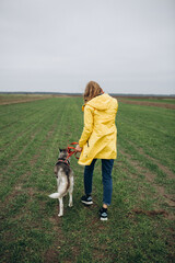 Naklejka na ściany i meble beautiful girl in a yellow raincoat on a green field. portrait of a woman in a yellow cloak with a husky dog. Love your dog and protect it from war.