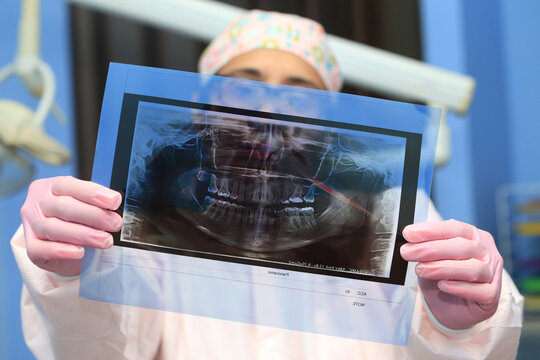 Doctor analyzing panoramic radiograph while holding it against the light. Dentist observing and analyzing panoramic radiograph. 