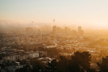 View of downtown at sunrise, from Corona Heights Park, in San Francisco, California