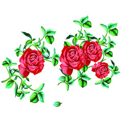 Digital textile flower and leaves beautiful with new style