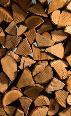 Fototapeta premium Wood pile