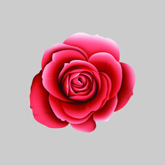 pink rose isolated, New digital Textile flowers and leaves design abstract illustration