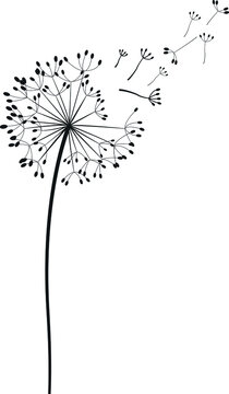 Dandelion Silhouettes Dandelion SVG EPS PNG