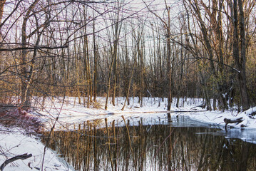 A relaxing scene in a wooded area after the first snow, bordering a river reflecting the bare trees-HDR