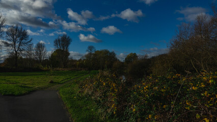 Obraz premium landscape with sky