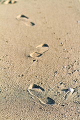 Fototapeta na wymiar Footprints across wet beach sand