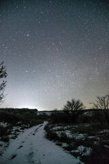 Naklejka premium sky with stars forest in the night . Night landscape. Nightsky and clouds . Stars in the sky . Lights of the city . 