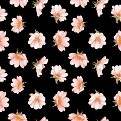 Watercolor pink anemone or rose hip spring seamless pattern. Textile, women day, wedding background